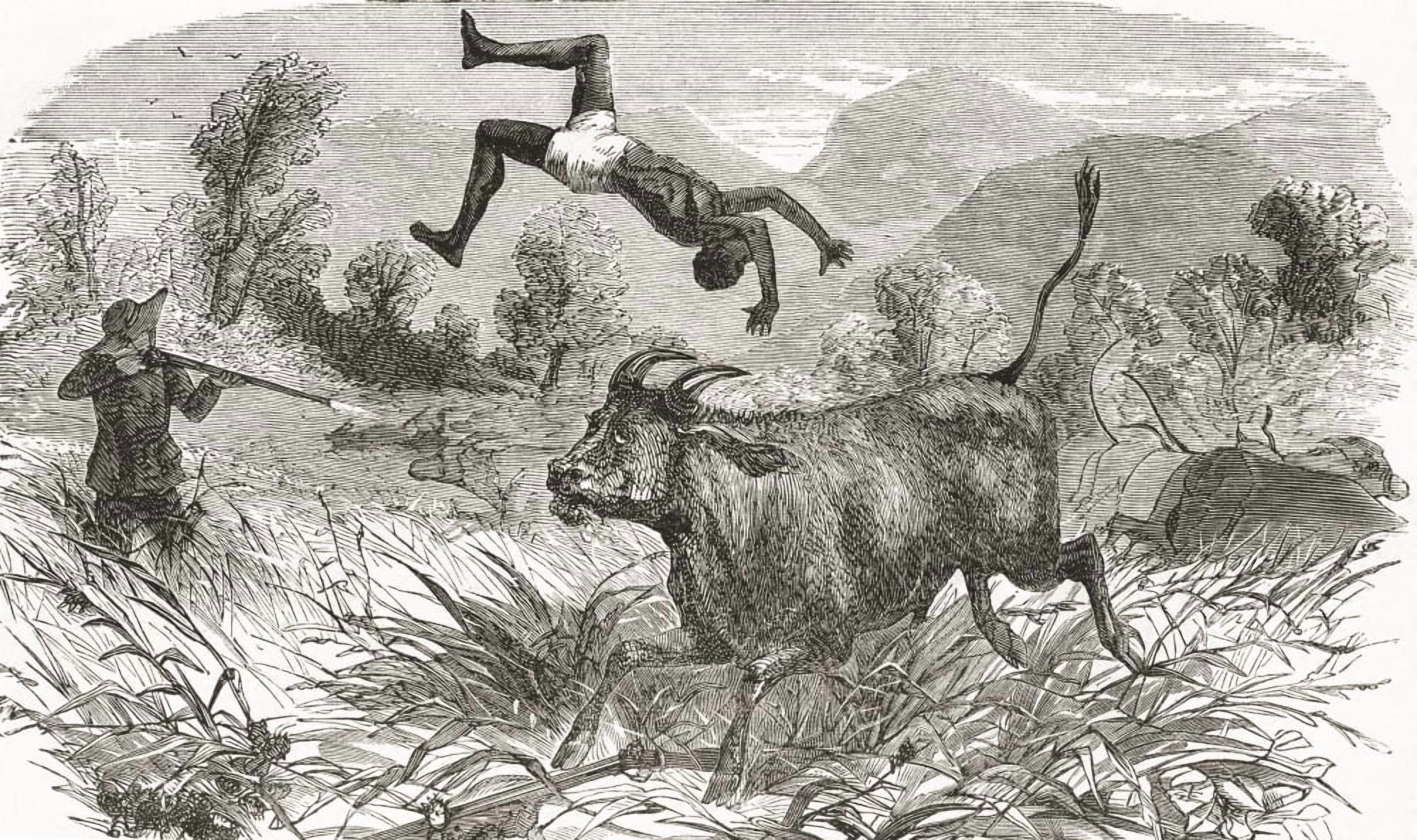 Hunting buffalo in Africa in the nineteenth century From El Museo Popular published 1887 Canvas Art - Ken Welsh Design Pics (36 x 20)