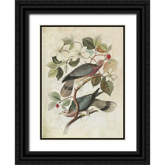 Hunziker, Steve 11x14 Black Ornate Wood Framed with Double Matting Museum Art Print Titled - Classic Avion VI