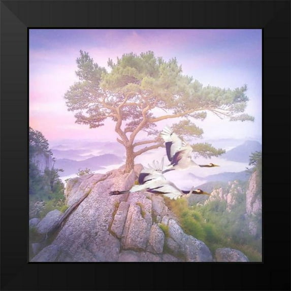 Hunziker, Steve 12x12 Black Modern Framed Museum Art Print Titled - Mountain Crane III