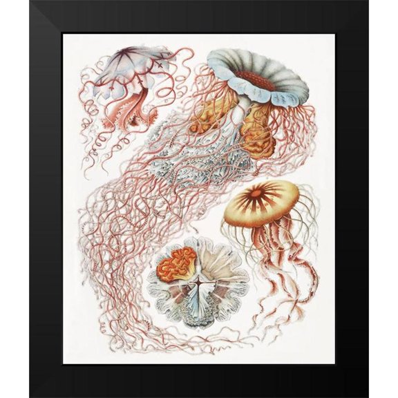 Hunziker, Steve 12x14 Black Modern Framed Museum Art Print Titled - Repeating Image V