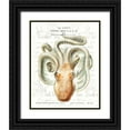 thumbnail image 1 of Hunziker, Steve 12x14 Black Ornate Wood Framed with Double Matting Museum Art Print Titled - Octopus II, 1 of 4