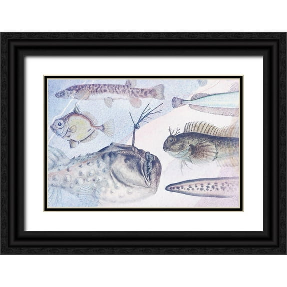 Hunziker, Steve 14x11 Black Ornate Wood Framed with Double Matting Museum Art Print Titled - Deep Sea V