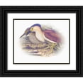thumbnail image 1 of Hunziker, Steve 14x12 Black Ornate Wood Framed with Double Matting Museum Art Print Titled - Sentimental Plumage V, 1 of 4