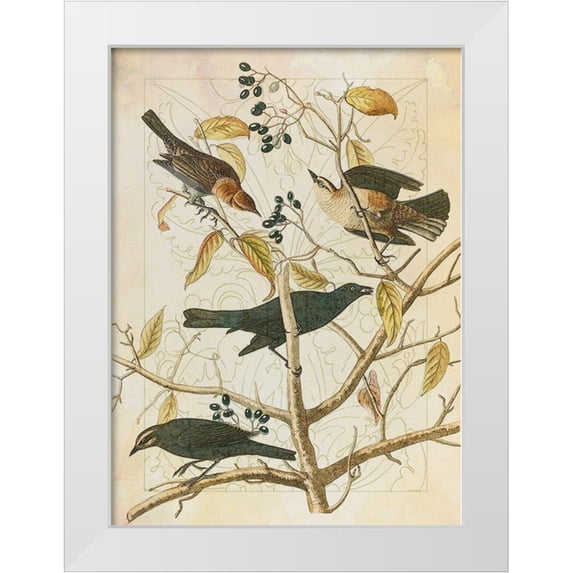 Hunziker, Steve 14x18 White Modern Wood Framed Museum Art Print Titled - Classic Avion III