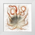 thumbnail image 1 of Hunziker, Steve 15x15 White Modern Wood Framed Museum Art Print Titled - Octopus III, 1 of 4