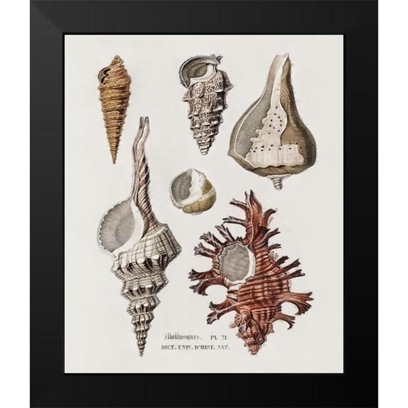 Hunziker, Steve 15x17 Black Modern Framed Museum Art Print Titled - Repeating Image IV