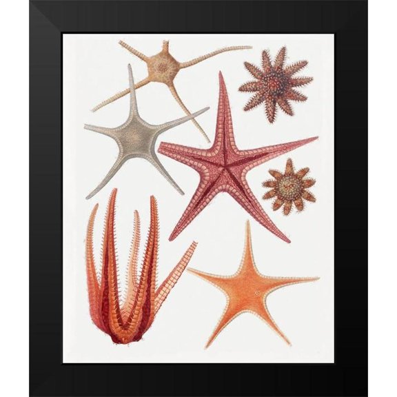 Hunziker, Steve 15x17 Black Modern Framed Museum Art Print Titled - Repeating Image VI