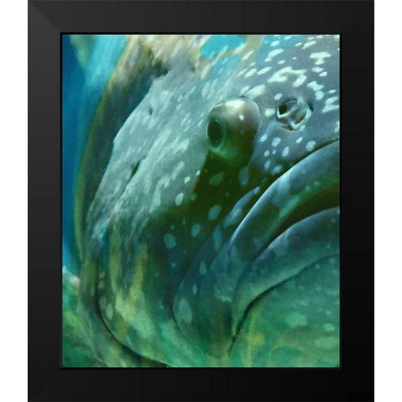 Hunziker, Steve 15x17 Black Modern Framed Museum Art Print Titled - Turquoise Splash I