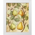 thumbnail image 1 of Hunziker, Steve 15x18 White Modern Wood Framed Museum Art Print Titled - Botanical Grunge II, 1 of 4