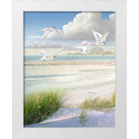 Hunziker, Steve 15x18 White Modern Wood Framed Museum Art Print Titled - Celestial Tern I