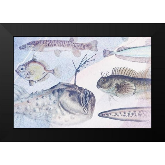 Hunziker, Steve 18x13 Black Modern Framed Museum Art Print Titled - Deep Sea V