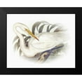 thumbnail image 1 of Hunziker, Steve 18x15 Black Modern Framed Museum Art Print Titled - Sentimental Plumage II, 1 of 4