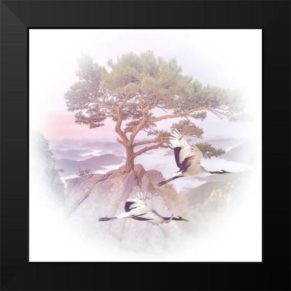 Hunziker, Steve 20x20 Black Modern Framed Museum Art Print Titled - Mountain Crane IV