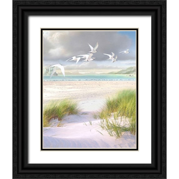 Hunziker, Steve 20x24 Black Ornate Wood Framed with Double Matting Museum Art Print Titled - Celestial Tern III