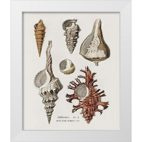 Hunziker, Steve 26x31 White Modern Wood Framed Museum Art Print Titled - Repeating Image IV