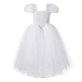 thumbnail image 1 of Huowey Baby Toddler Girls Fairy Tale Mesh Princess Dress With Floral Embroidery Floor Length Party Gown For Pageant Soft Dailywear, 6-7 Years, 1 of 3