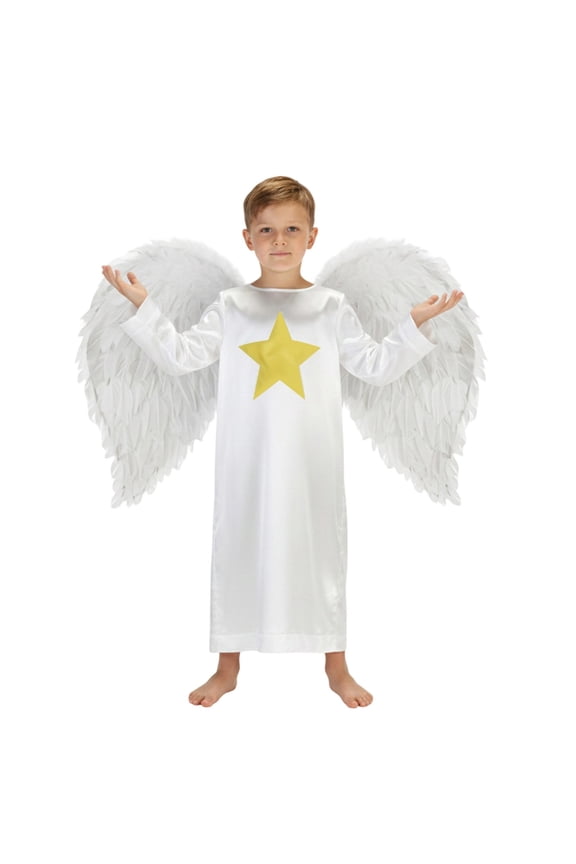 Boys Angel Dress Up Set Stain Skill High Waist Mesh Long Sleeve Long Robe With Wings Fairy Tale Party Gown For Kids Birthday Pageant Outfits Fashion Streetwear,White,12-14 Years