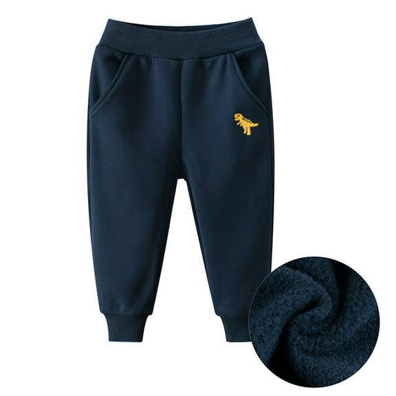 Huowey Boys Sweatpants Elastic Waist Cute Dinosaur Print Casual Sports Trousers Wool Lined Wide Leg Thick Relaxed Fit Joggers For Big Boys Fall Winter Warm Track Pants Dailywear,Blue,3-4 Years
