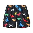 thumbnail image 1 of Huowey Toddler Boys Cartoon Dinosaur Printed Swim Trunks Drawstring Elastic Waist Wide Leg Bathing Suit Kids Fashionable Lightweight Swimsuit Beach Shorts,Black,1-2 Years, 1 of 5