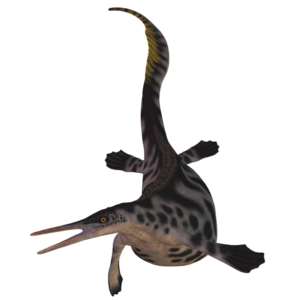 Hupehsuchus is a genus of marine reptile that lived during the Triassic Period Canvas Art - Corey FordStocktrek Images (29 x 29)