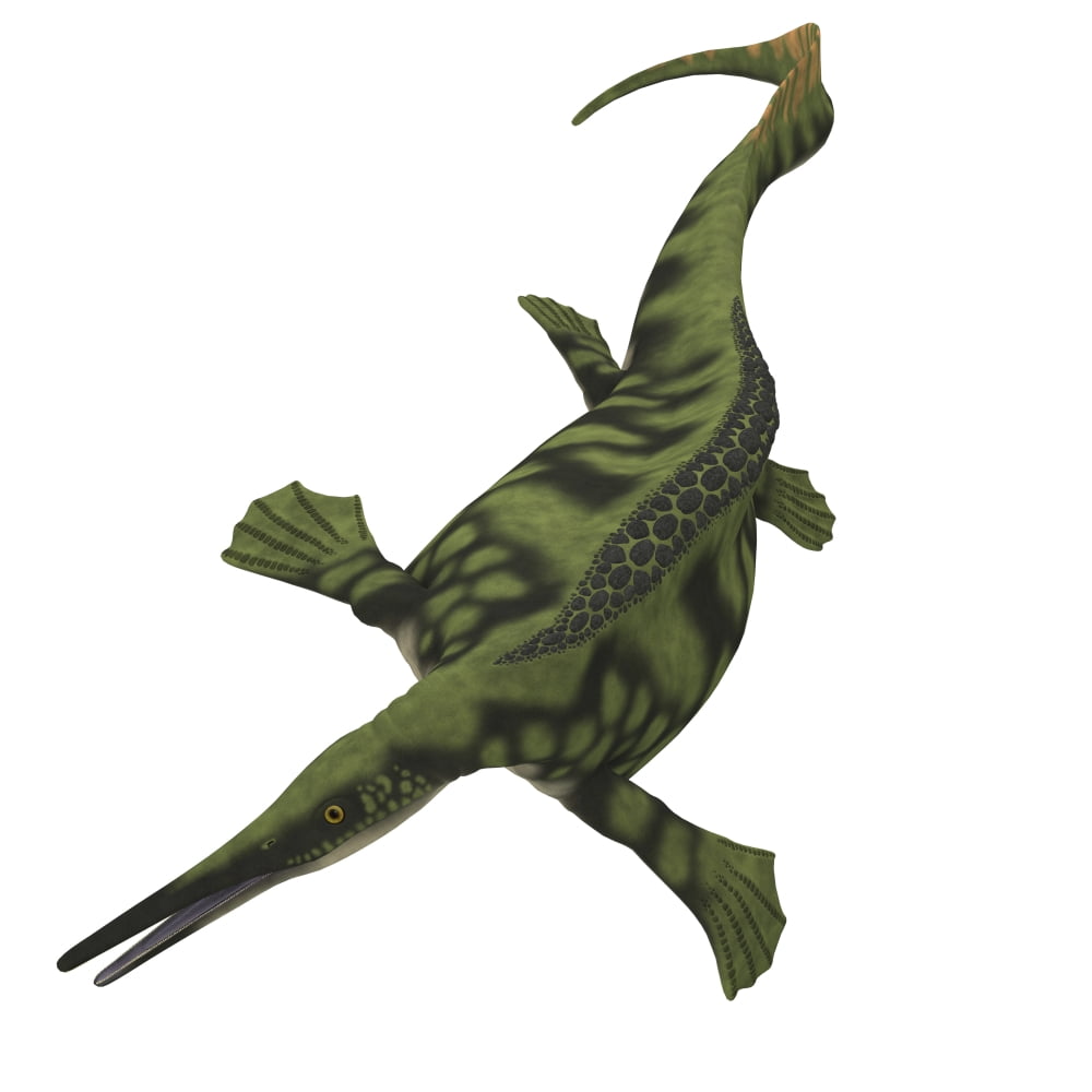 Hupehsuchus is a marine icthyosaur that lived during the Mesozoic Era Canvas Art - Corey FordStocktrek Images (29 x 29)