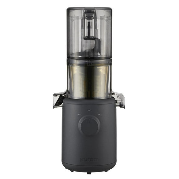 Hurom Cold Press Juicer Machine, H310 Easy Clean Slow Juicer (Charcoal)