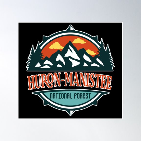 Huron Manistee National Forest Poster Wall Art, Modern Wall Decor, 30x30 UNFRAMED
