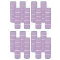 thumbnail image 1 of Hurricane 16 Pack HF7468-04P Platinum Purple Pool Filter Cartridge Replacement, 1 of 7