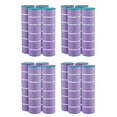 thumbnail image 1 of Hurricane 16 Pack HF7488-04P Platinum Purple Pool Filter Cartridge Replacement, 1 of 6