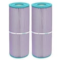 thumbnail image 1 of Hurricane Filters HF4950-01P Platinum Purple Spa Filter Cartridge Replacement, 2 Pack, 1 of 8