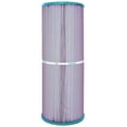 thumbnail image 1 of Hurricane HF5374-01P Platinum Purple Pool and Spa Filter Cartridge Replacement, 1 of 8