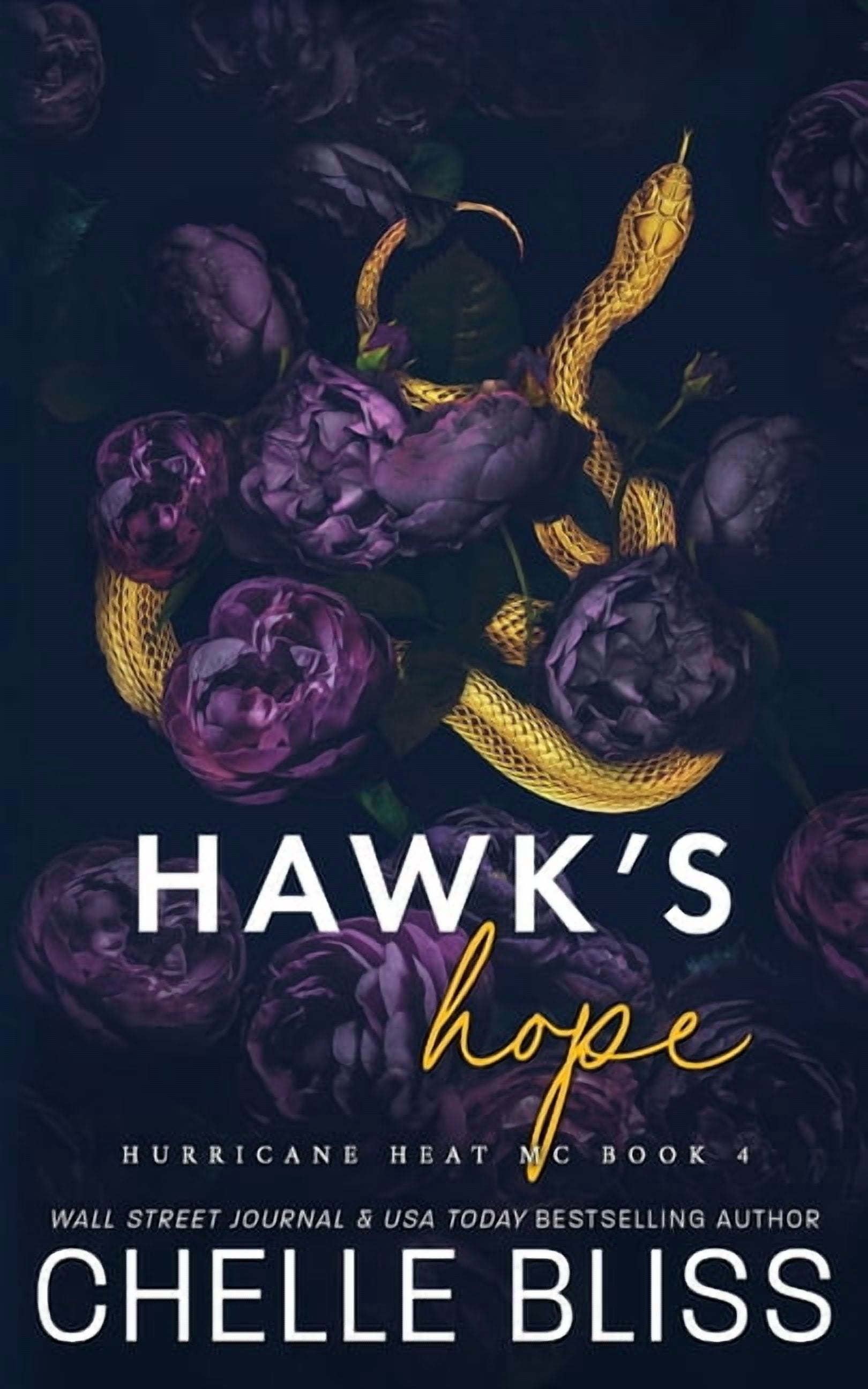Hurricane Heat MC Hawk's Hope: Discreet Edition, Book 4, (Paperback)