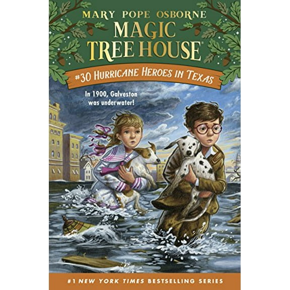 Pre-Owned Hurricane Heroes in Texas (Hardcover) 9781524713126