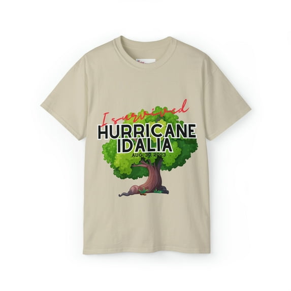 Hurricane Idalia t-shirt, t-shirt,Tee