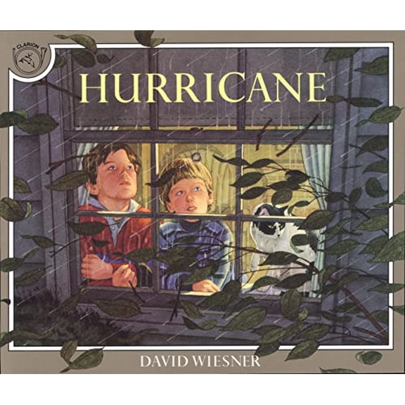 Pre-Owned Hurricane (Paperback) 0395629748 9780395629741