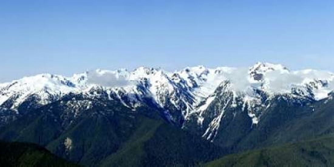 Hurricane Ridge Vista Canvas Art - Douglas Taylor (10 x 20)
