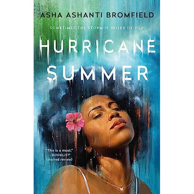 Hurricane Summer : A Novel (Paperback)