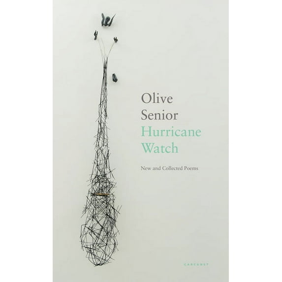 Hurricane Watch: New and Collected Poems, (Paperback)