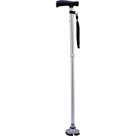 Hurry Along, Elderly Gift, 4 Feet and Light, Best Walking Cane, - Silver