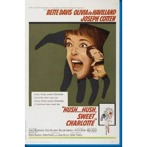 Hush Hush Sweet Charlotte Movie Poster 16in x 24in 16x24 Multi-Color Square Adults Best Posters