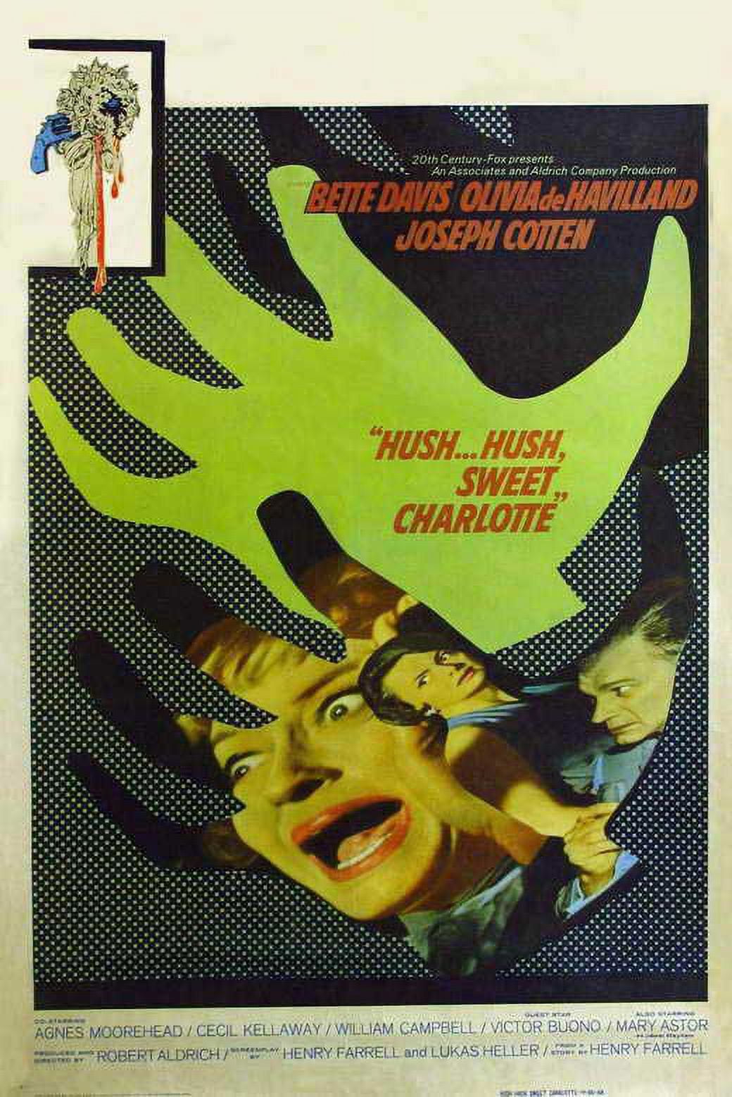 Hush Hush Sweet Charlotte Poster