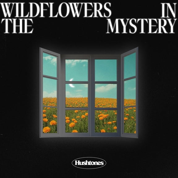Hushtones Wildflowers in the Mystery (Vinyl Record) 12" Album Coloured Vinyl (Limited Edition)