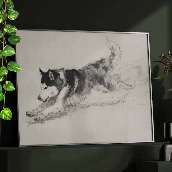 Husky Dog Zoomies Sketch Minimalist Charcoal Gray Line Monochrome Energetic Running Sdecor Wall Art Print