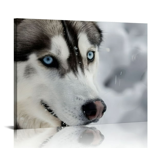 Husky Dog with Blue Eyes in Snow Canvas Wall Art for Home Decor Ready To Hang 16x12in