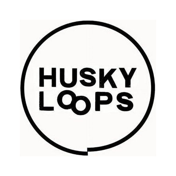 Husky Loops - EP2 - Vinyl
