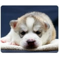 thumbnail image 1 of Husky Pup Mouse pads Gaming Mouse Pad 9.84x7.87 inches, 1 of 3