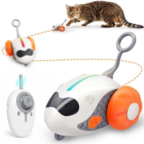 HUTACT Mouse Cat Toy with Remote, Interactive Rechargeable Automatic Moving Play Toy for Indoor Kittens, 2 Modes Fake Mouse with 2 Tails, Chasing Toy to Relieve Cat Boredom