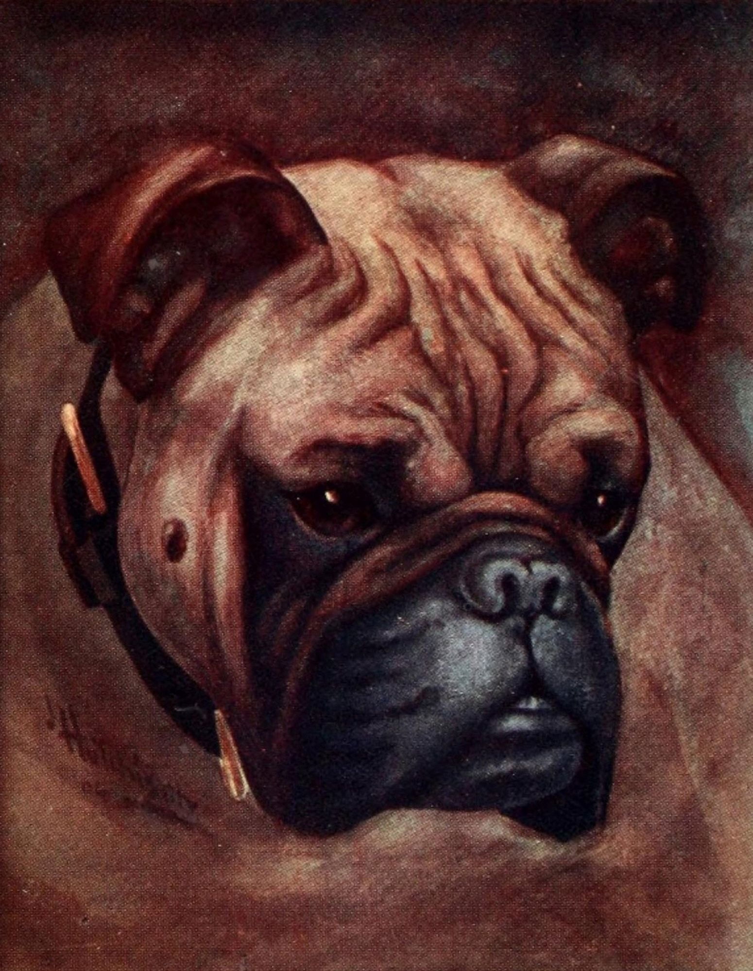Hutchinson International Typographical Union souvenir for 1905 Boxer Canvas Art - Hutchinson (18 x 24)