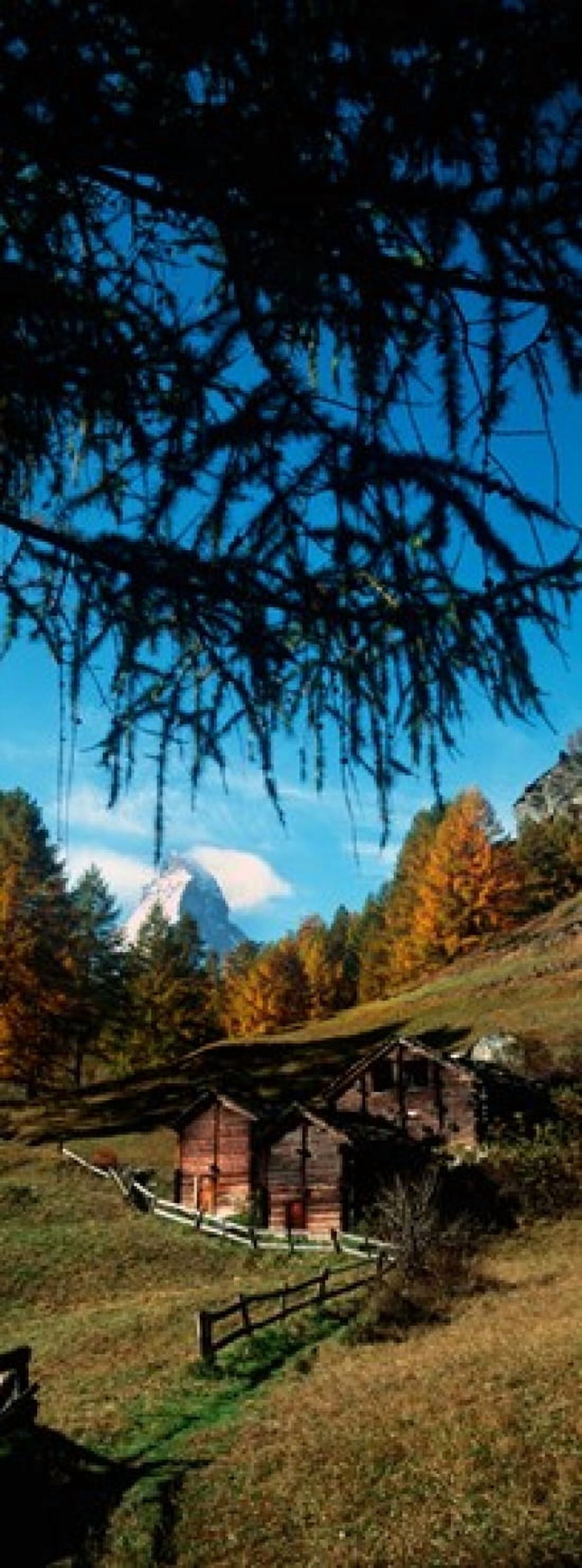 Huts with the Mt Matterhorn in background in autumn morning light Valais Canton Switzerland Canvas Art - Panoramic Images (18 x 7)