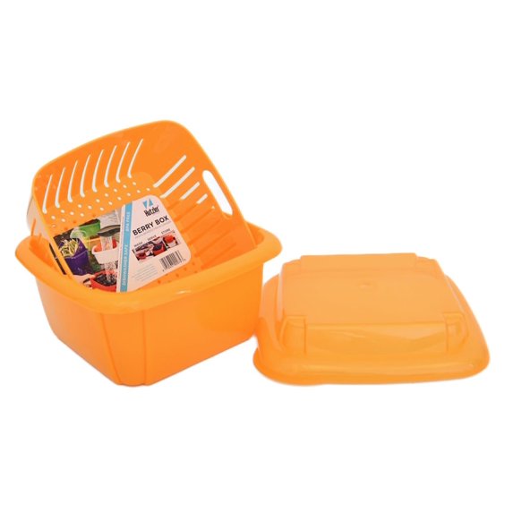 Hutzler 3-in-1 Berry Keeper Colander and Container, Keeps Berries Fresh Longer, 2 Pints, Apricot